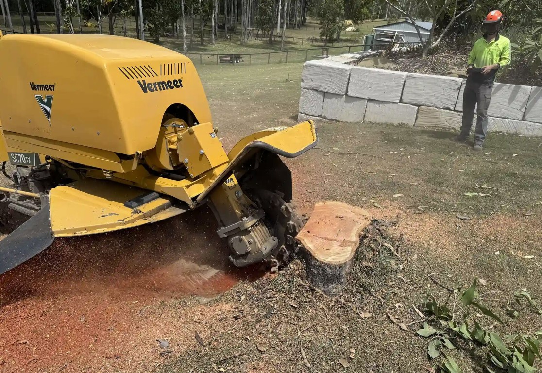 Stump grinding Cache