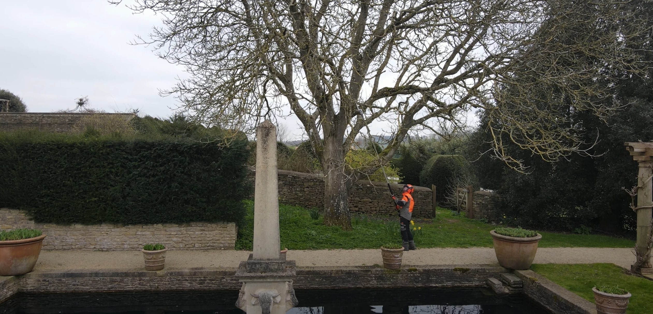 Tree Trimming & Pruning service in Lawton, OK